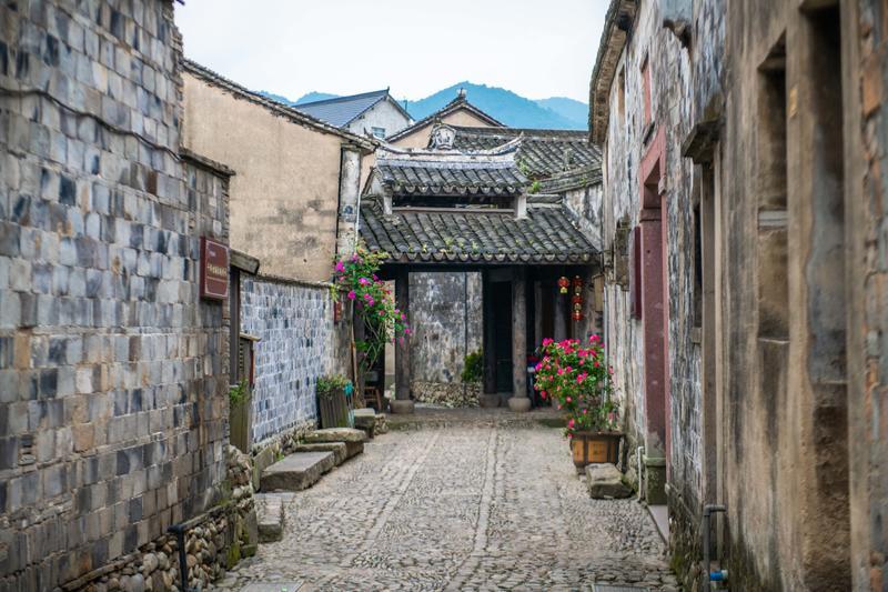 僵尸顶顶乐